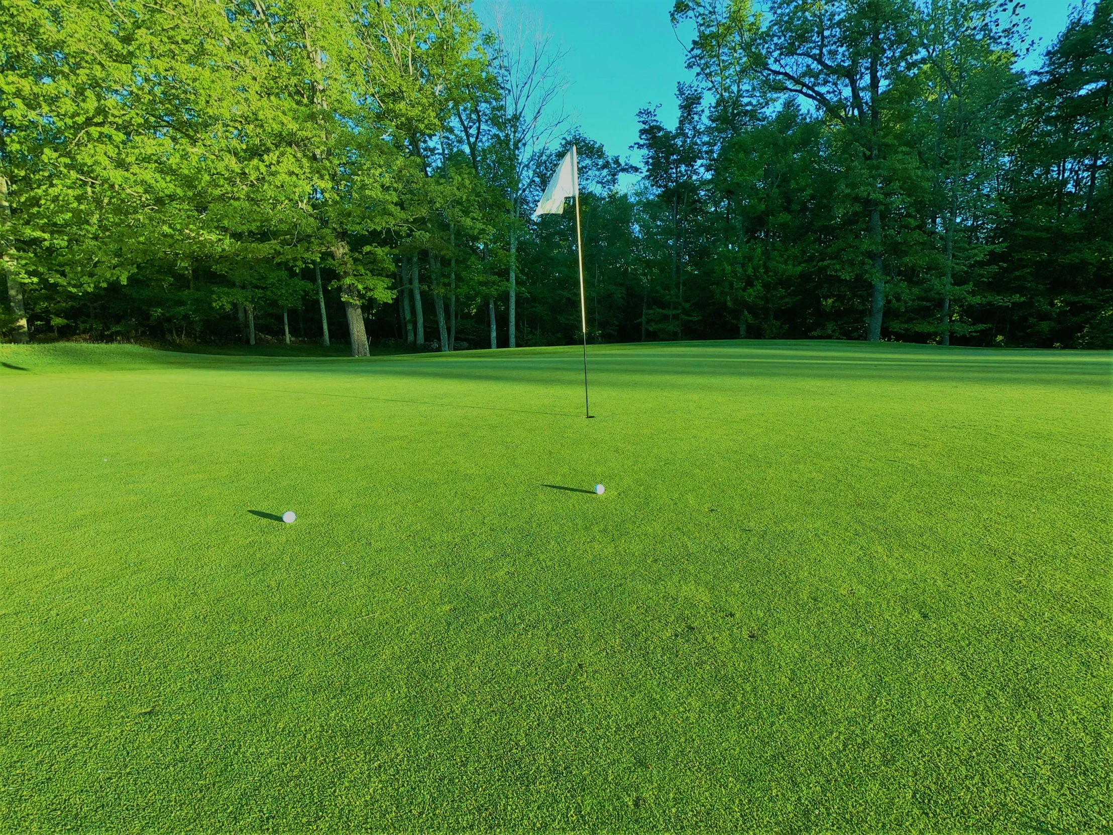 an empty golf course in the middle of a wooded area