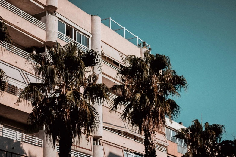 a row of palm trees in front of an apartment building