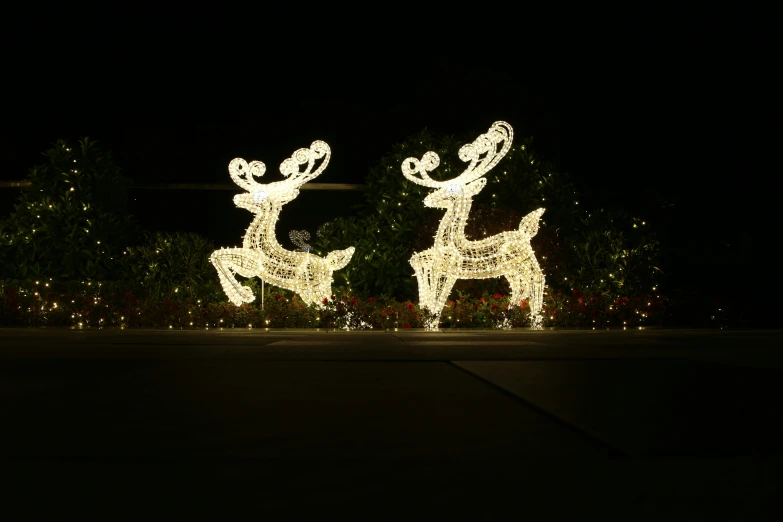 a couple of lit up reindeers on display outside