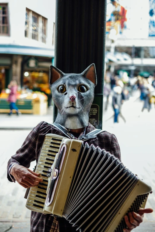 a cat mask plays an accordion in the street