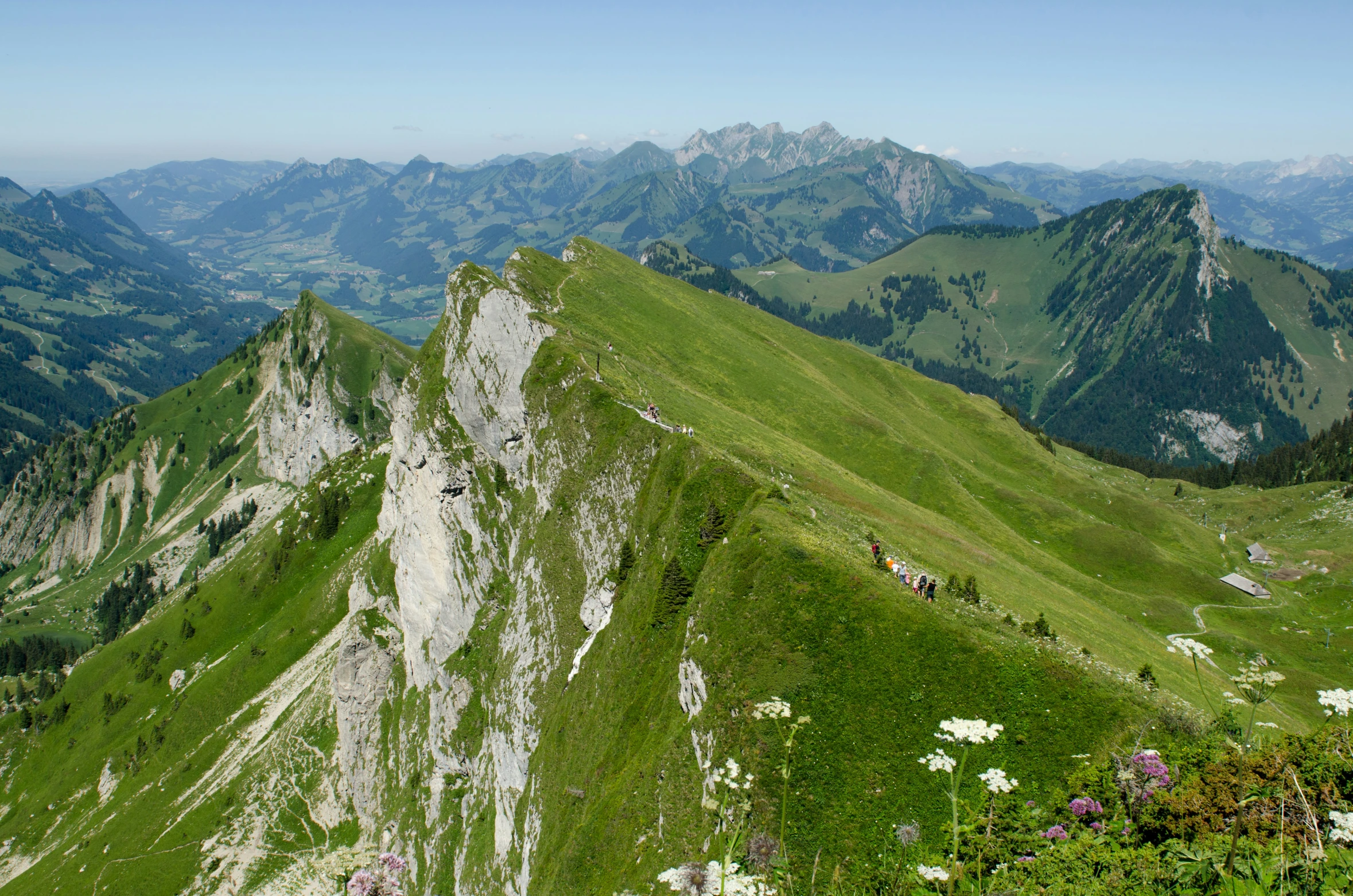 a very large hill covered with lots of lush green hills