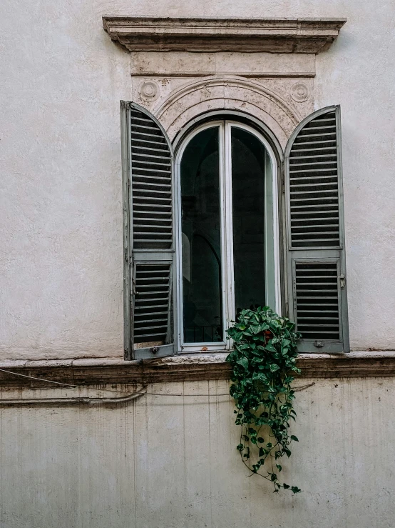 the window and shutters on the building have green foliage on them