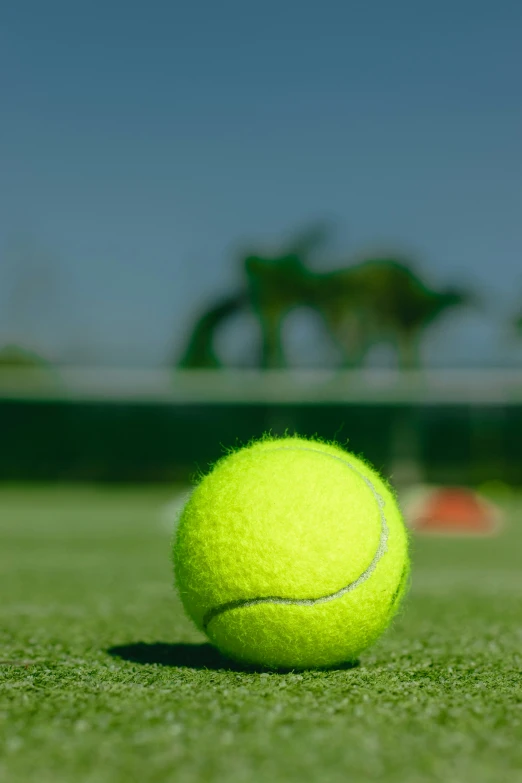 a green tennis ball sits on a grass court