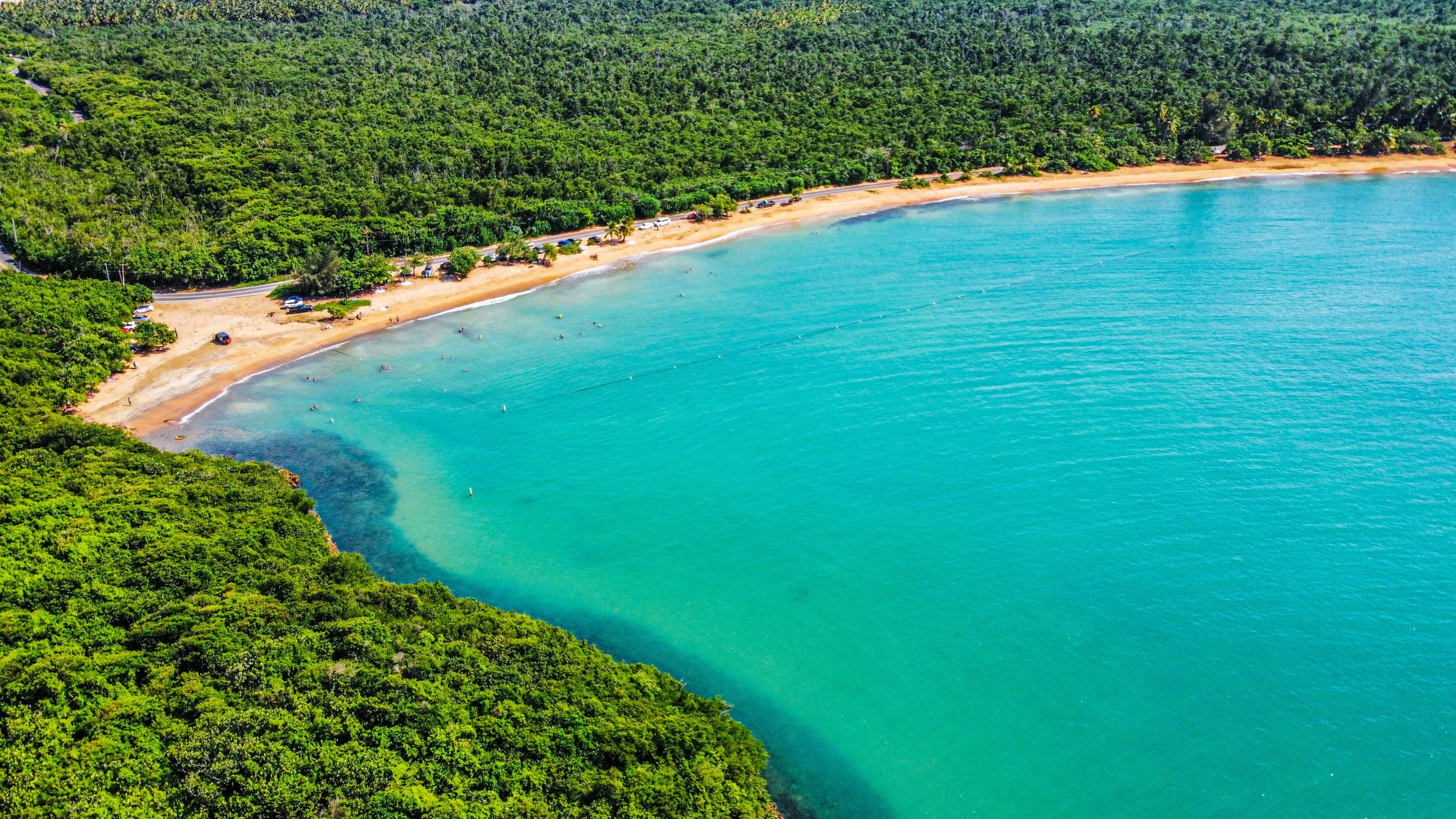 a very pretty beach by the green trees