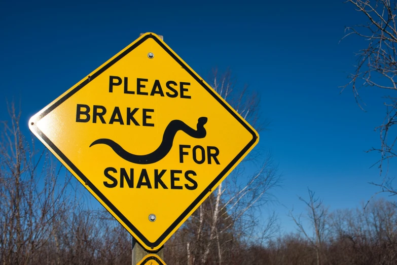 a road sign warning that snakes will be crossing the road