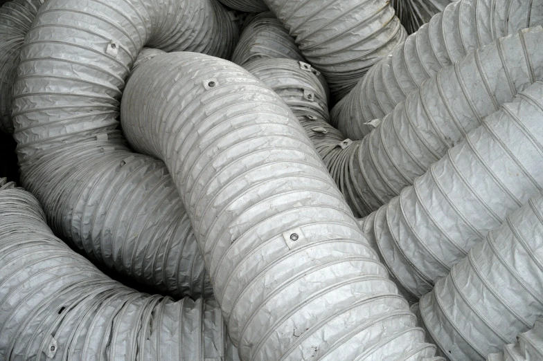 a large gray elephant with its trunk around the rest