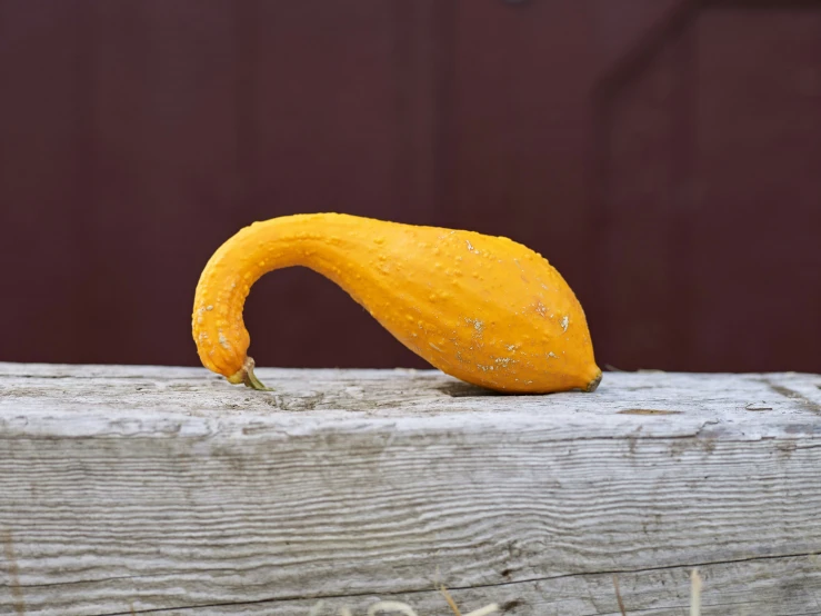 a yellow squash on the outside of a wooden structure