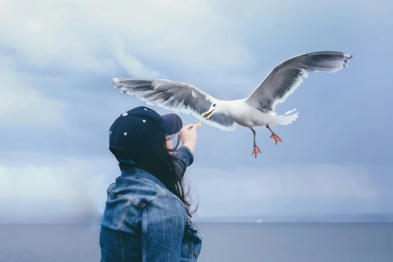 a young person standing on the beach feeding a seagull