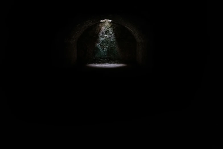 a lone black dog stands in a dark tunnel