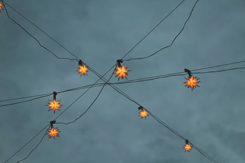 the string lights are hanging from the power lines and have birds on them