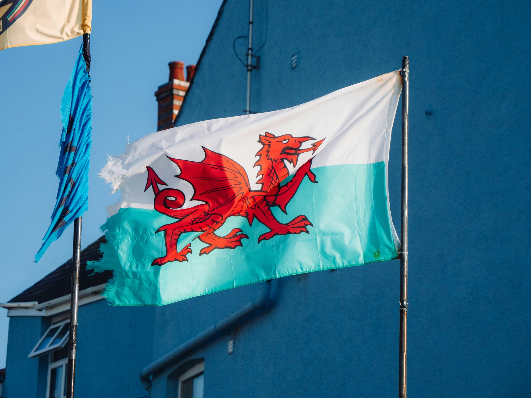 a flag with a red dragon flying on the side