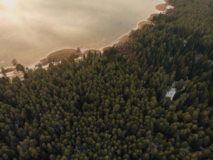 a body of water surrounded by trees in the woods