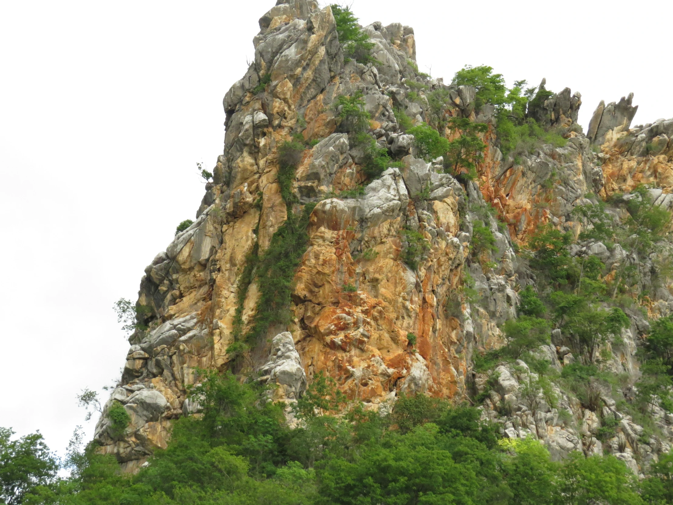 a large cliff that looks like an animal is on top of a mountain