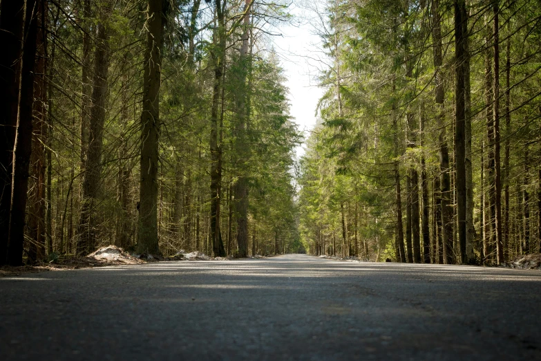 a wide asphalt road in the middle of an area with tall, green trees