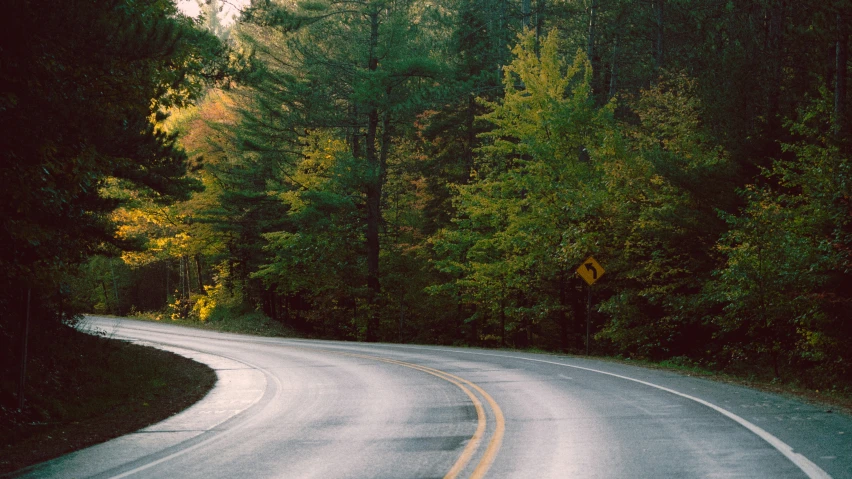 a curve in the road near a forest