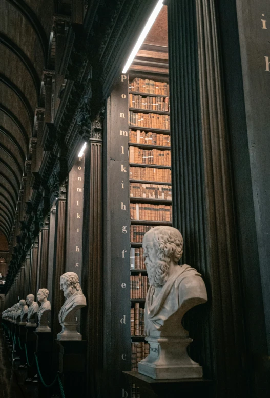 a liry filled with long rows of busturines and bookcases