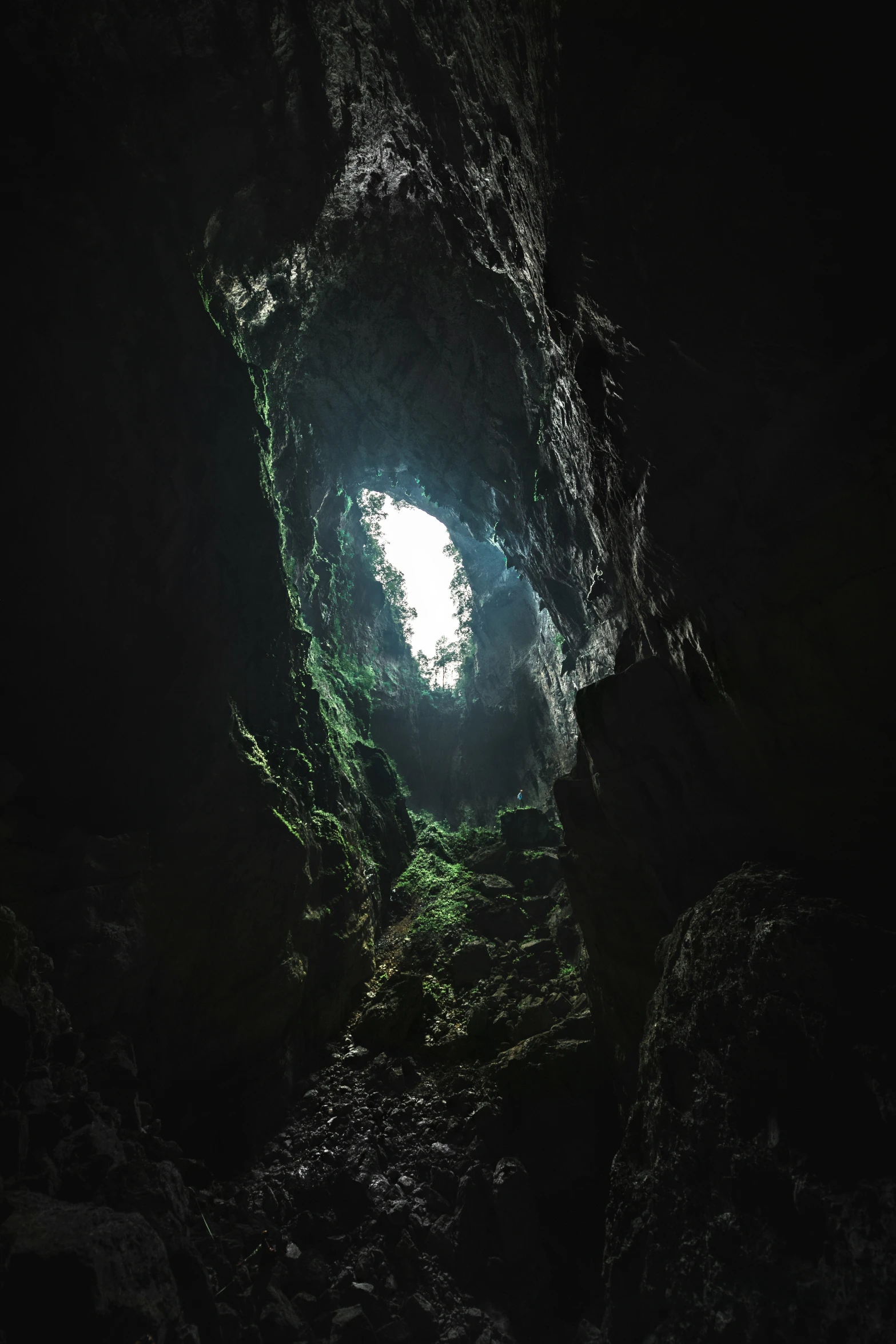 a very dark cave in the woods with sunlight shining inside