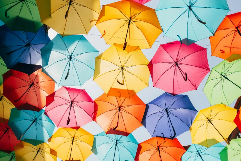 a po looking up at brightly colored umbrellas