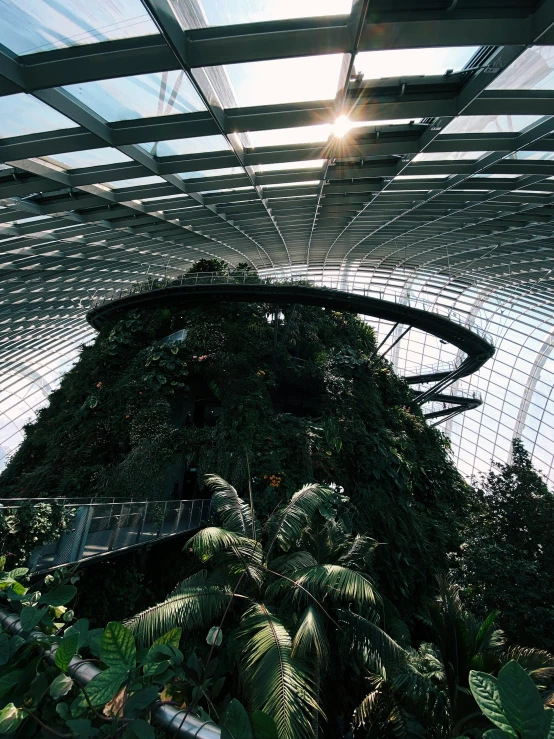 the plant tunnel at gardens by the bay, singapore