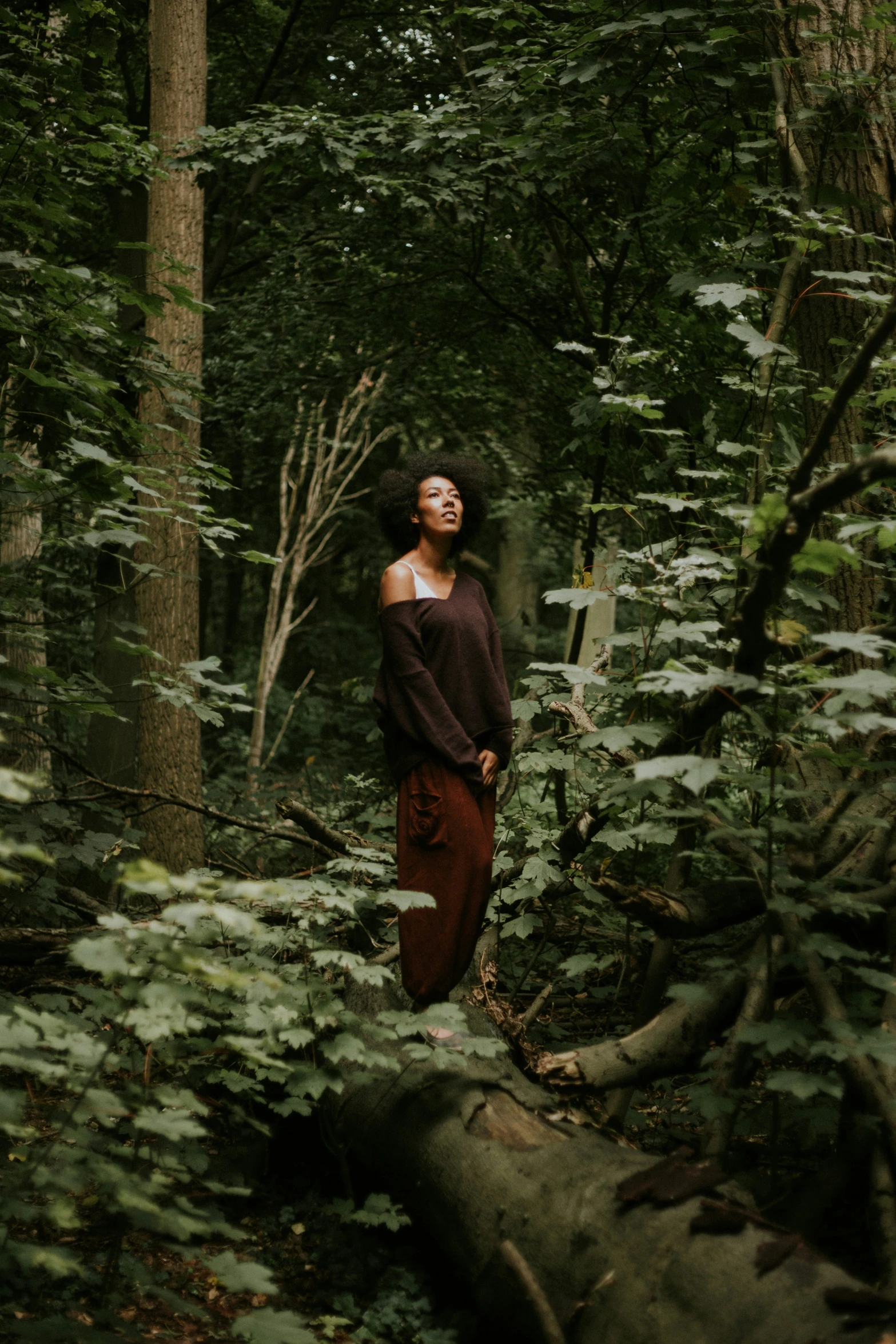 woman in maroon dress standing in trees with fallen logs