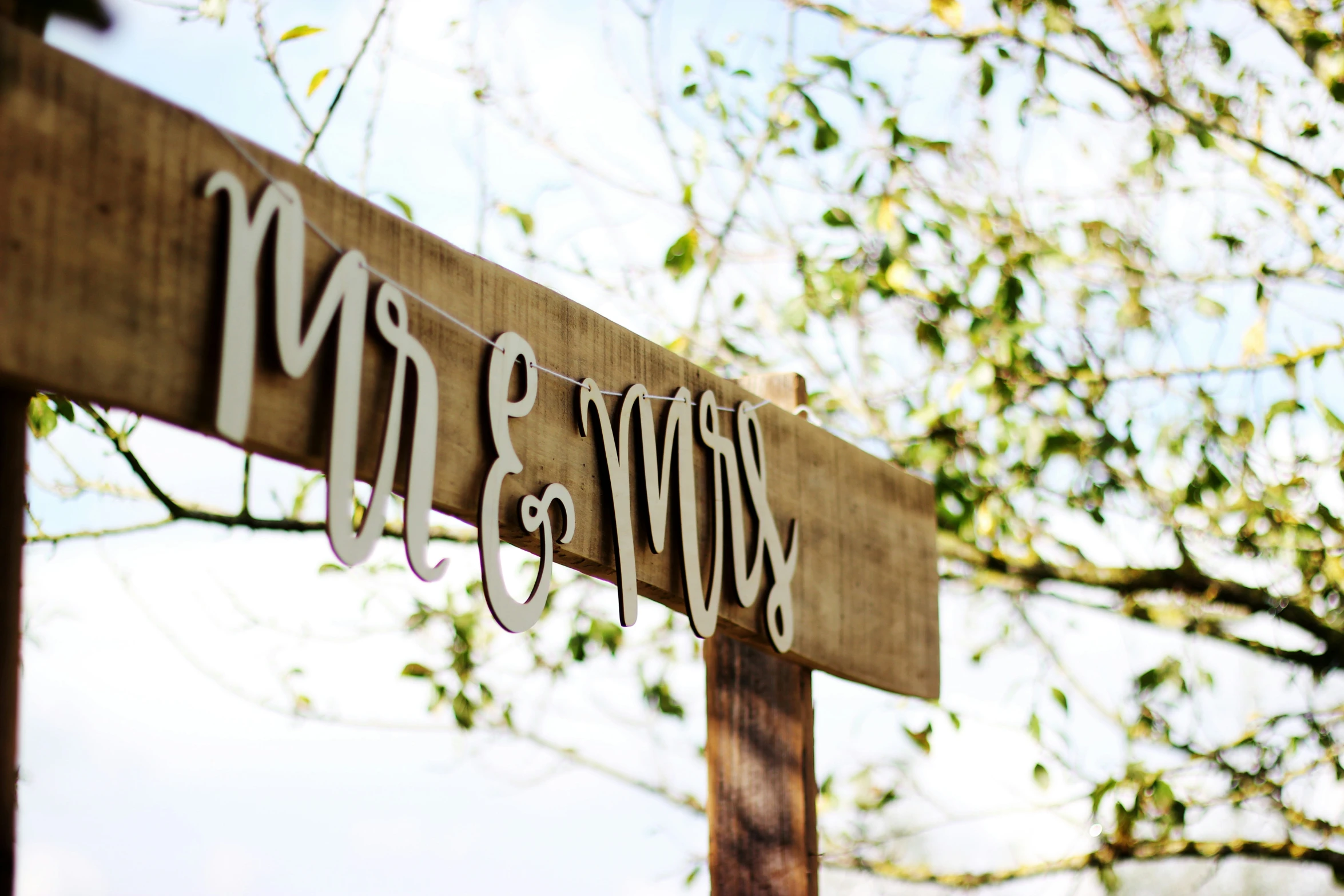 a sign in front of a tree with the name of the street and price on it