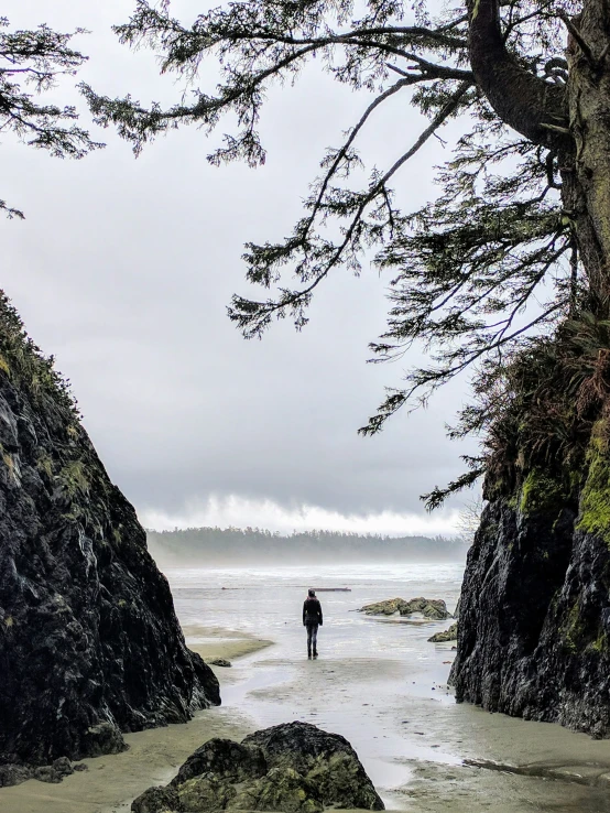 a person walking into a body of water near a beach