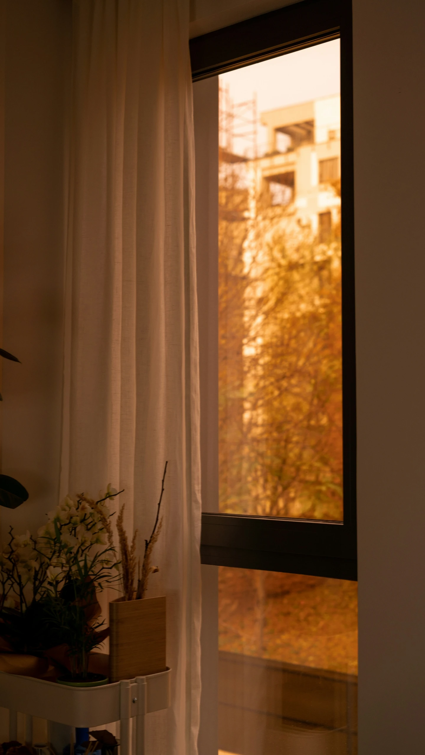 an open window with some curtains and trees in the background