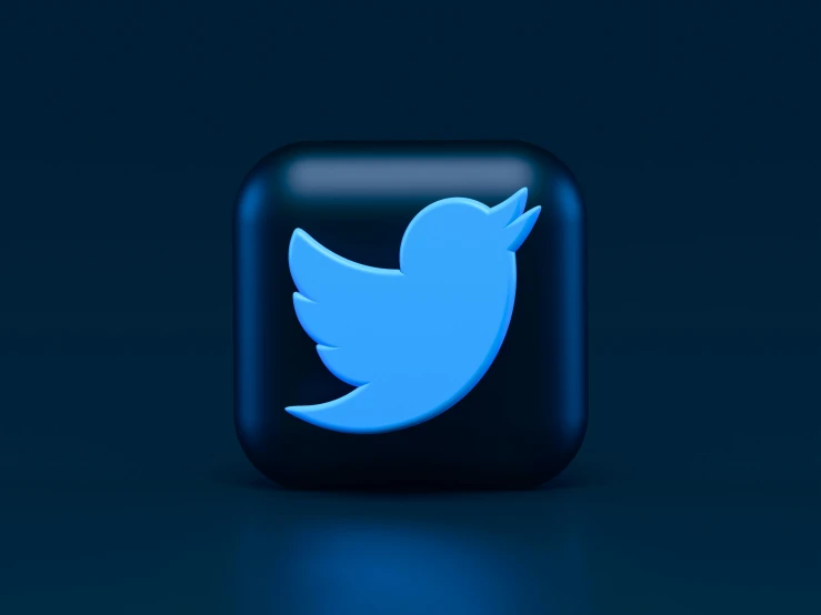 the logo for twitter that has been made in blue