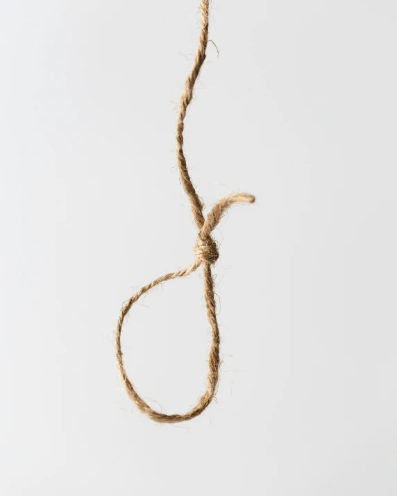 a rope hanging from the ceiling with a noose knot