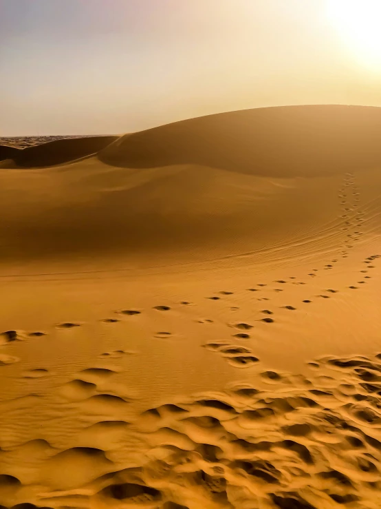 an open area with many tracks in the sand