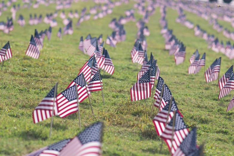 a field with several american flags in the grass