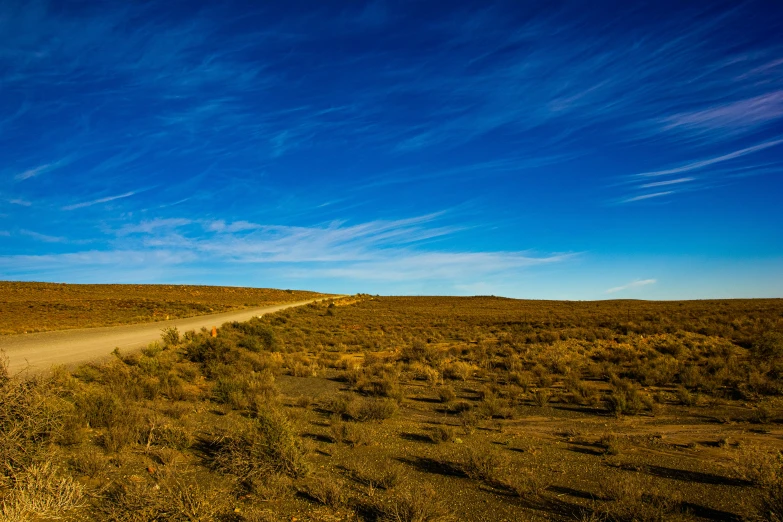 a very long and dirt road with grass in the foreground