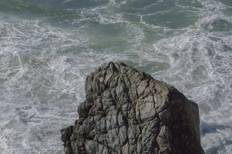 the small bird is perched on top of the rock