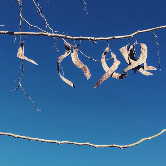 a group of pieces of cloth hanging from a line