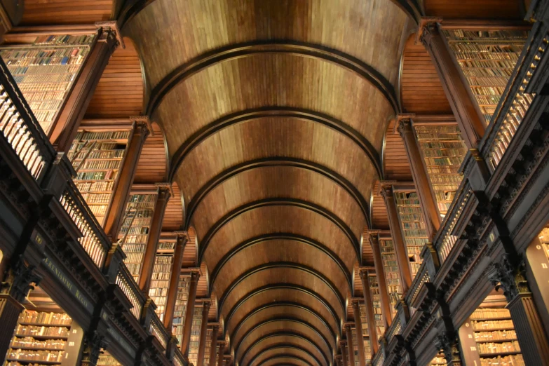 rows of books in an intricately decorated liry