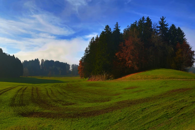 a green field that has trees on the side of it