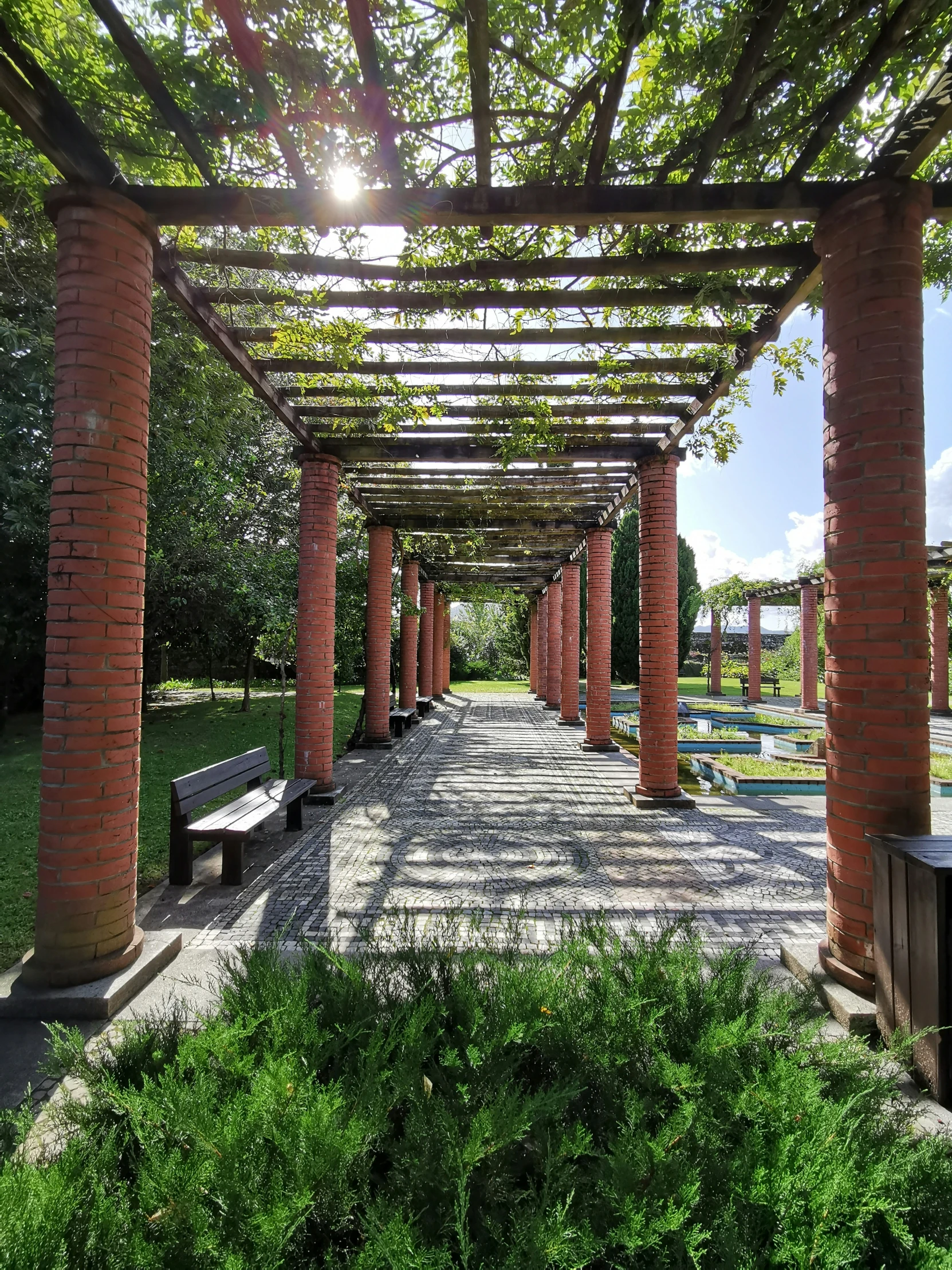 a pergoline covered pathway with benches underneath