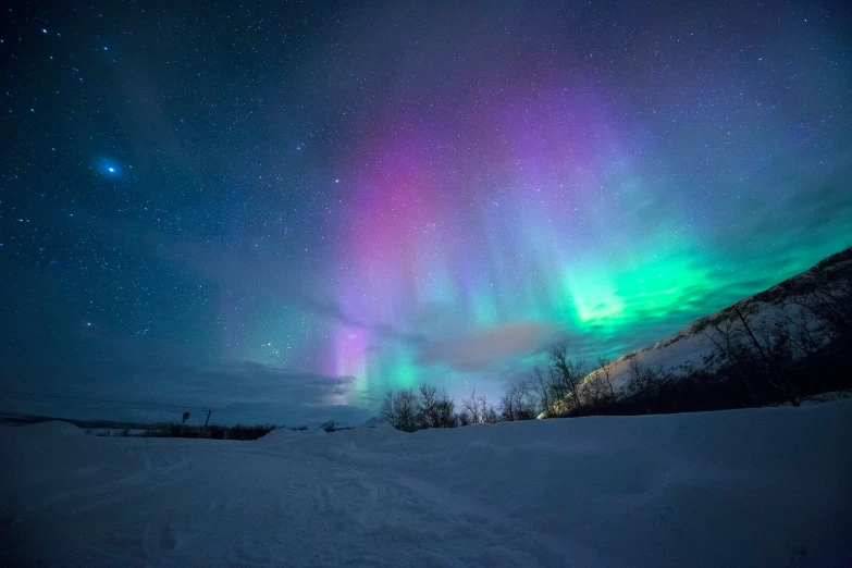 the aurora bore is visible over a frozen forest