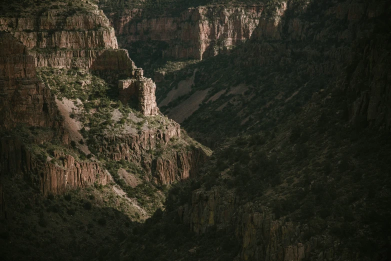 an artistic image of rocky mountains in the woods