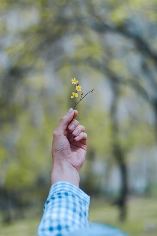 a person holding a tiny flower by its hand