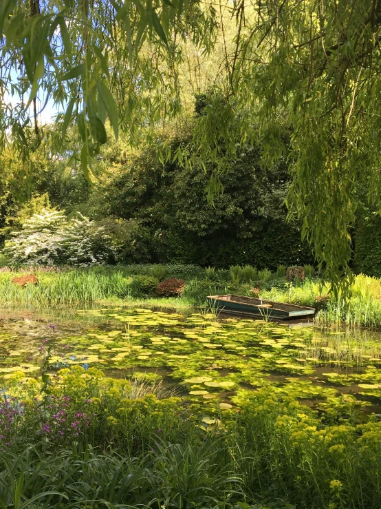 a view of water surrounded by a lush green forest