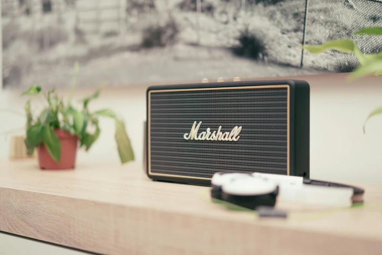 there is a black radio on the mantle and some potted plants