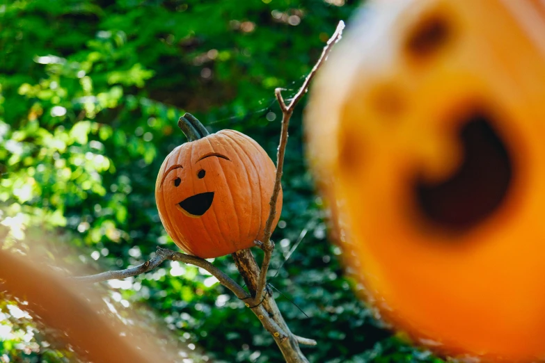 a pumpkin shaped like a smiley face sitting on a tree nch