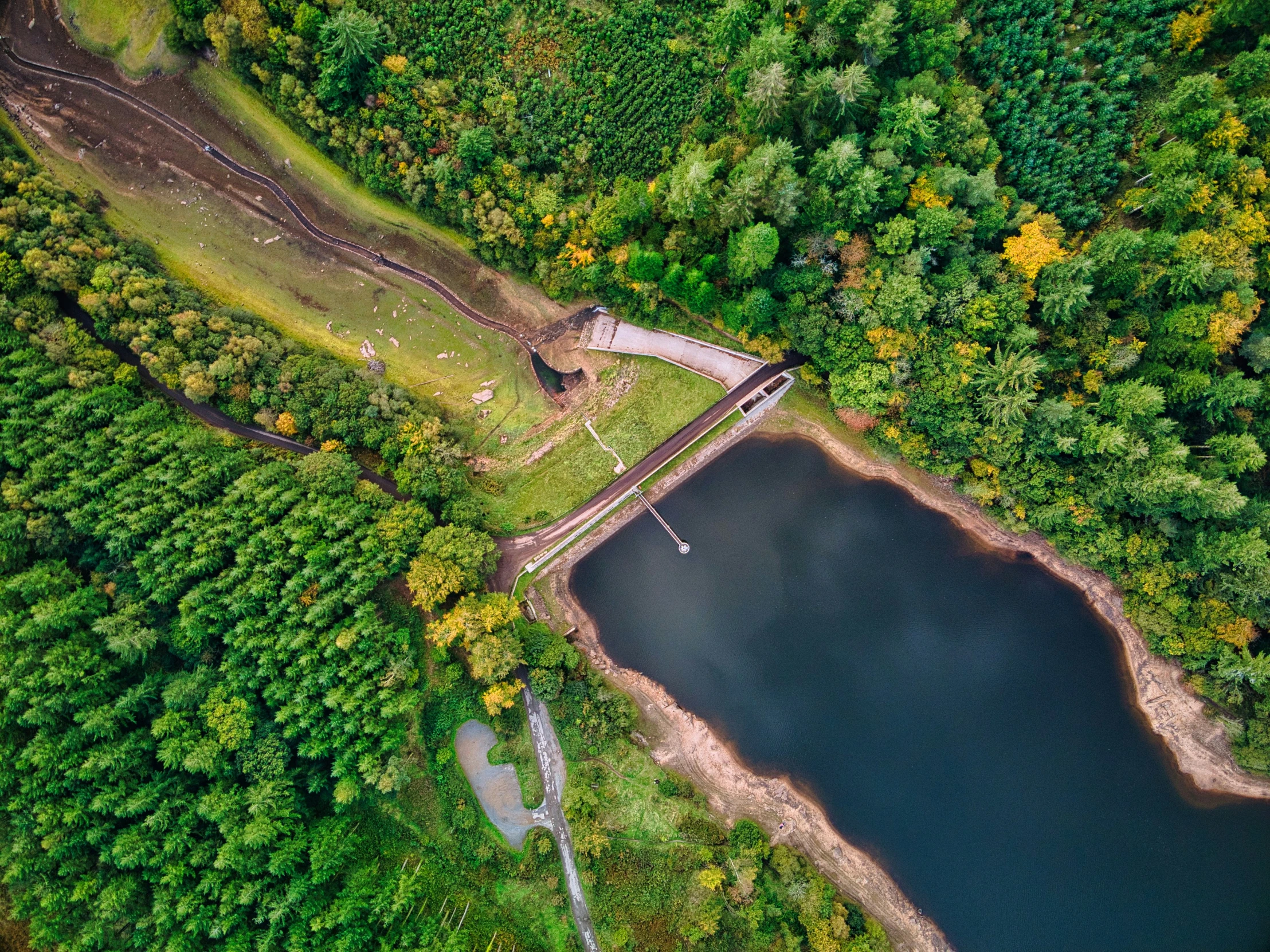 a large body of water near trees and a road