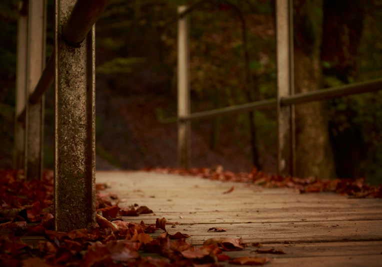 the leaves on the sidewalk are still covering the wood