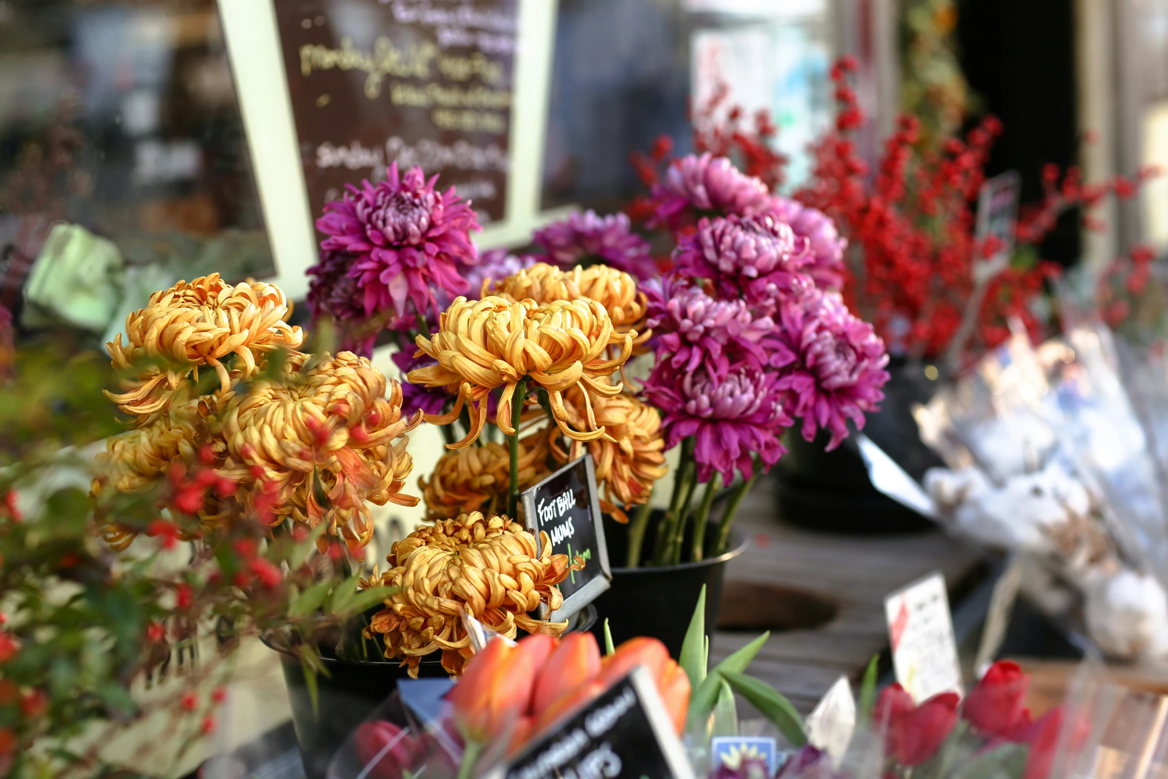 a garden show with lots of purple flowers and orange ones