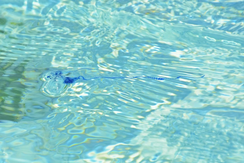 a blue substance floating on water with light reflections