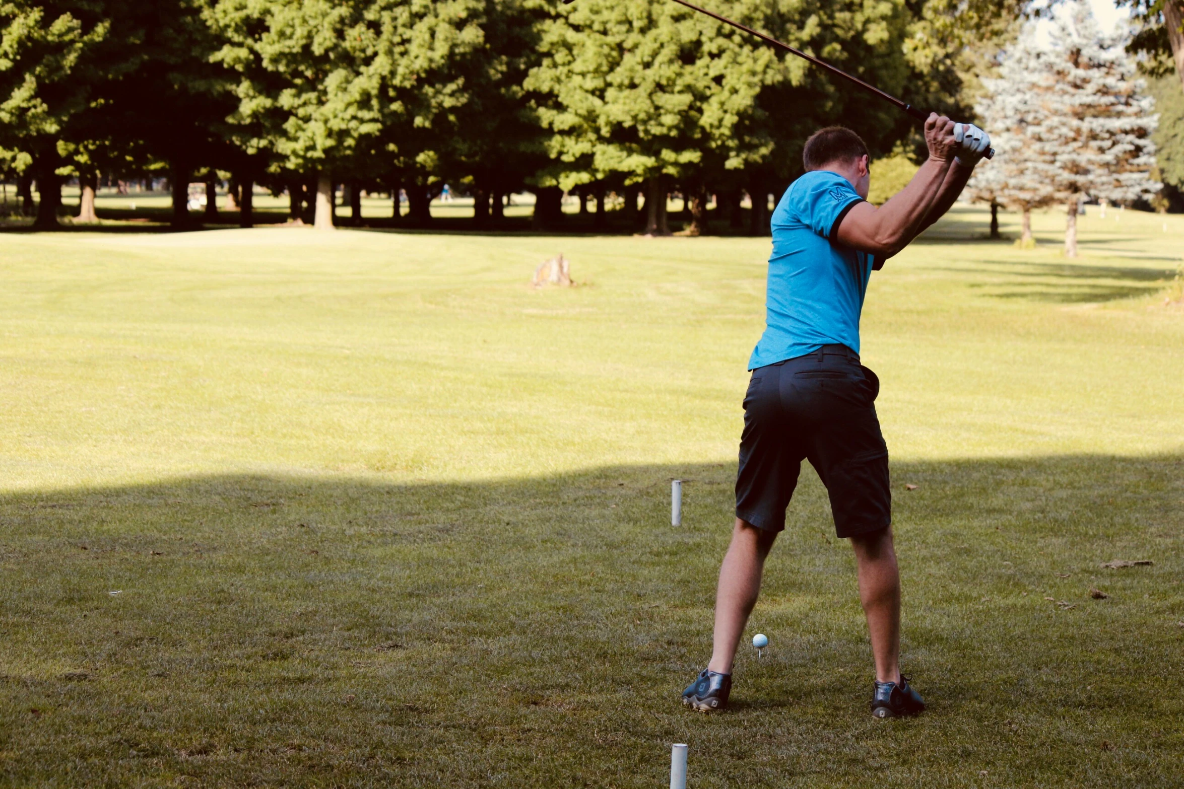 a man preparing to tee ball on the green golf course