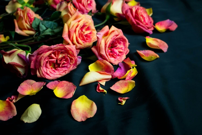 rose petals and yellow rose petals are on a black cloth