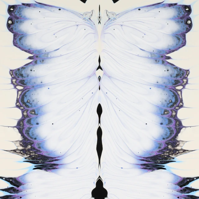 the image of a erfly wings is shown in blue and white